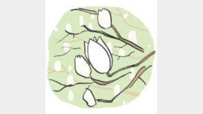 [오늘의 날씨/2월 17일]맵고 추운 봄날