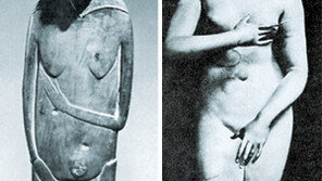 [인문사회]역사와 문화 달라도 하나…‘신화의 이미지’