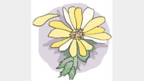 [오늘의 날씨/2월23일]투욱 툭, 산수유 꽃망울 터지는 소리