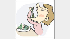 [오늘의 날씨/2월 24일]시장에 온갖 봄나물들 지천