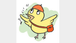 [오늘의 날씨/3월3일]봄 병아리 같은 신입생들 삐약