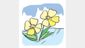 [오늘의 날씨/3월13일]시간은 봄의 편