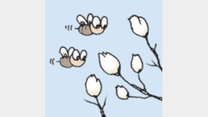 [오늘의 날씨/4월 3일]환장하게 눈부신 봄