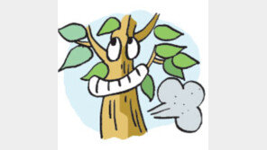 [오늘의 날씨/4월 5일]조상님들 나무타령 귀에 들린다