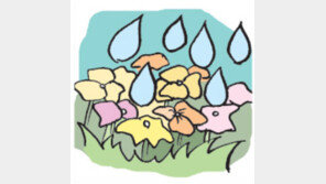 [오늘의 날씨/4월11일]하얗게 머리 풀어헤친 벚꽃나무