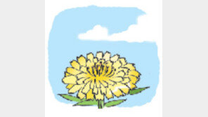 [오늘의 날씨/4월 17일]내 홀어머니 같은 꽃 민들레야