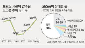 모조품과의 전쟁… 관광객이 들고있는 ‘짝퉁’도 압수