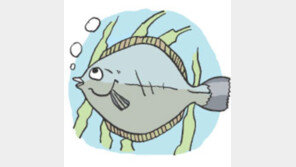 [오늘의 날씨/4월 27일]봄 도다리 한창