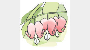 [오늘의 날씨/5월 11일]인적 드문 숲 속. 붉은 금낭화 활짝