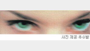 [인문사회]바람피운 당신, 부숴 버릴거야…‘위험한 열정 질투’