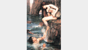 [인문사회]욕망과 지혜의 문화사전, 몸