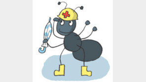 [오늘의 날씨/7월 26일]개미의 유비무환 정신을 본받자