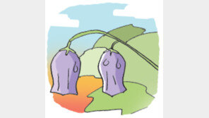 [오늘의 날씨/9월 1일]9월 산들바람. 산행하기 안성맞춤