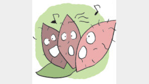 [오늘의 날씨/9월 6일]창밖 밤새 풀벌레 소리