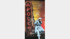 [뉴욕&뉴요커]범죄소굴은 옛말 ‘할렘 르네상스’관광명소로