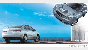 [파워 브랜드]한국의 글로벌 브랜드/무한 업그레이드 100년 질주