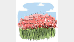 [오늘의 날씨/9월 15일]꽃무릇 한창