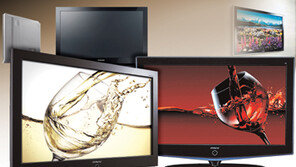 [파워브랜드]파브가 보여주는 비전… 거대한 프리미엄 세계