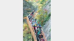 [헬스&뷰티]어쩌다 한번 등산, 큰 도움 안됩니다