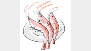 [오늘의 날씨/9월 21일]대하… 눈으로 먹고 입으로 먹는다