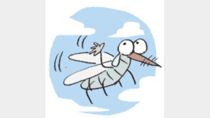 [오늘의 날씨/10월14일]환절기에는 꼭 이런 녀석들이 있다