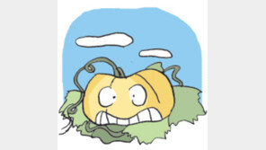 [오늘의 날씨/10월 17일]가을 햇볕에 눈부신 늙은 황금보살