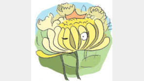 [오늘의 날씨/10월 23일]“혼자 튀려는 국화꽃… 독한것”