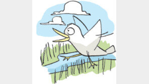 [오늘의 날씨/11월 14일]천수만 가창오리 황홀한 군무