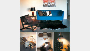 [Money&Life]등 하나 바꿨을 뿐인데 눈도 마음도 따뜻하네