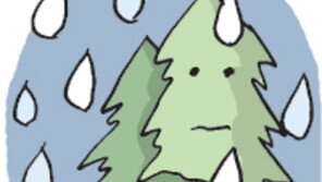 [오늘의 날씨/11월28일]나무에겐 미안하지만…설렘의 비