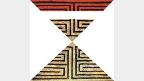 [전문가와 떠나는 부동산 여행]재건축미로에서 헤매지않기