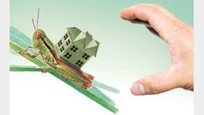 [부동산 여행]전세도 한철…겨울 지나면 늦으리