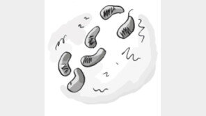 [오늘의 날씨/12월 19일]눈은 비가 내리며 언 게 아니다