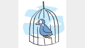 [오늘의 날씨/12월 28일]정신없이 돌아가는 세밑.