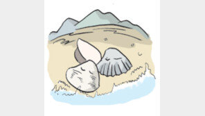 [오늘의 날씨/1월 9일]소리 없이 흐르며 깊어지는 겨울 강