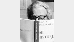 [인문사회]“아직은 무기를 놓지 말자”… ‘미완의 시대’