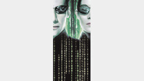 [인문사회]‘우리와 그들, 무리짓기에 대한 착각’