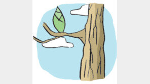 [오늘의 날씨/2월 17일]우수(雨水)