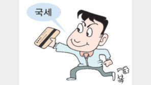 [재테크 법률방]세금도 할부 결제 가능해질까