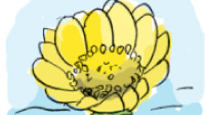 [오늘의 날씨/2월26일]여기저기 꽃눈 틔우는 소리