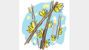 [오늘의 날씨/2월 27일]큰 저항이 생기지나 않을까…