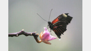 [인문사회]이성과 道 어우러질 때 새 문명의 미래 열린다