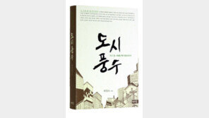 [실용기타]도시의 명당, 마음속에 있소이다… ‘도시풍수’