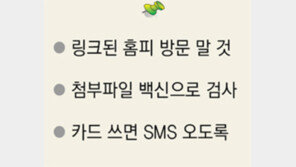 “피싱-파밍 이렇게 피하세요”