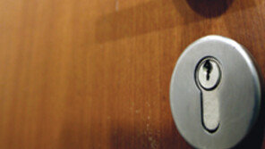 ‘폴리페서’의 계절…“교수님, 대선주자 따라 출장갔대”