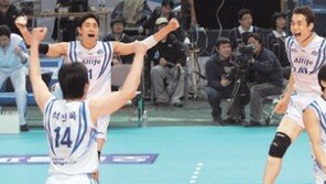 프로배구 삼성화재 - 농구 모비스 정규리그 우승