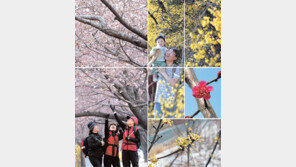 [수도권]들리나요? 봄의 노크