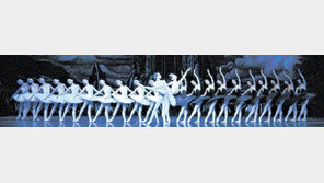 [기자와 함께 문화산책]고전 발레의 교본 ‘백조의 호수’ DVD