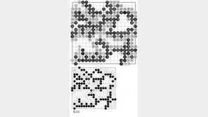 [바둑]50기 국수전… 도전자의 2연승