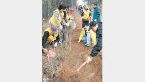 “기온상승에 엘니뇨 겹쳐 올여름 사상최고 무더위”